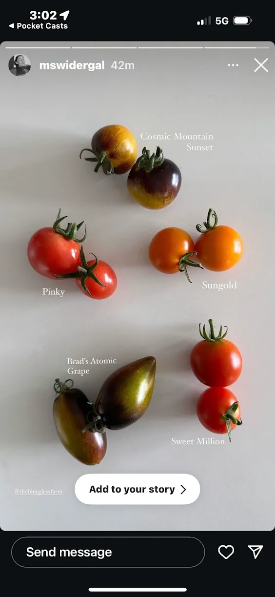 A screenshot of an instagram post using Blue Glass Farm produce