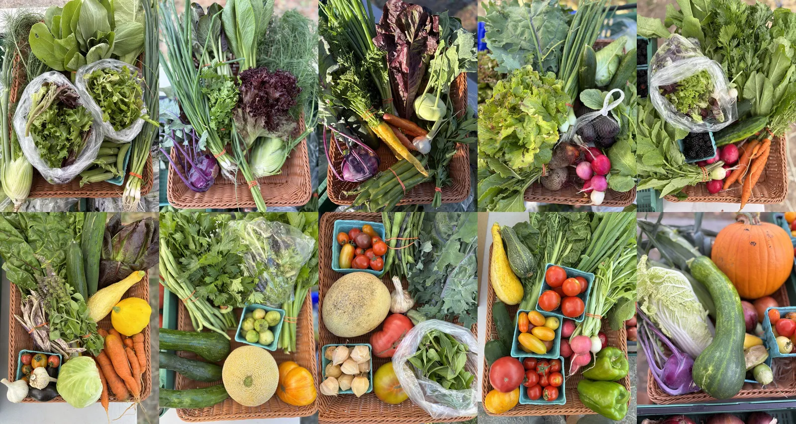 A composite of ten Blue Glass Farm CSA shares from across the season.