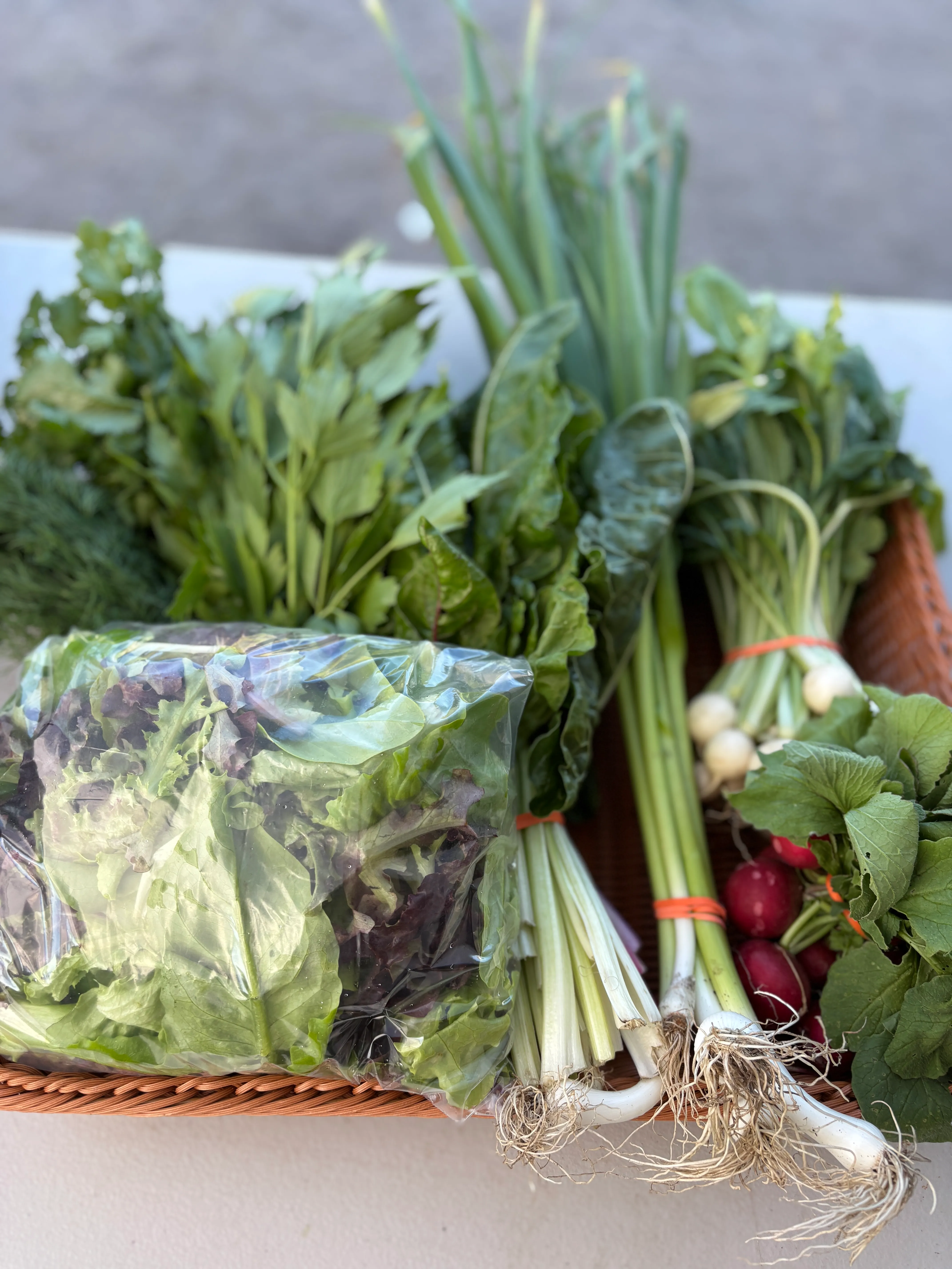 Week 1 CSA share