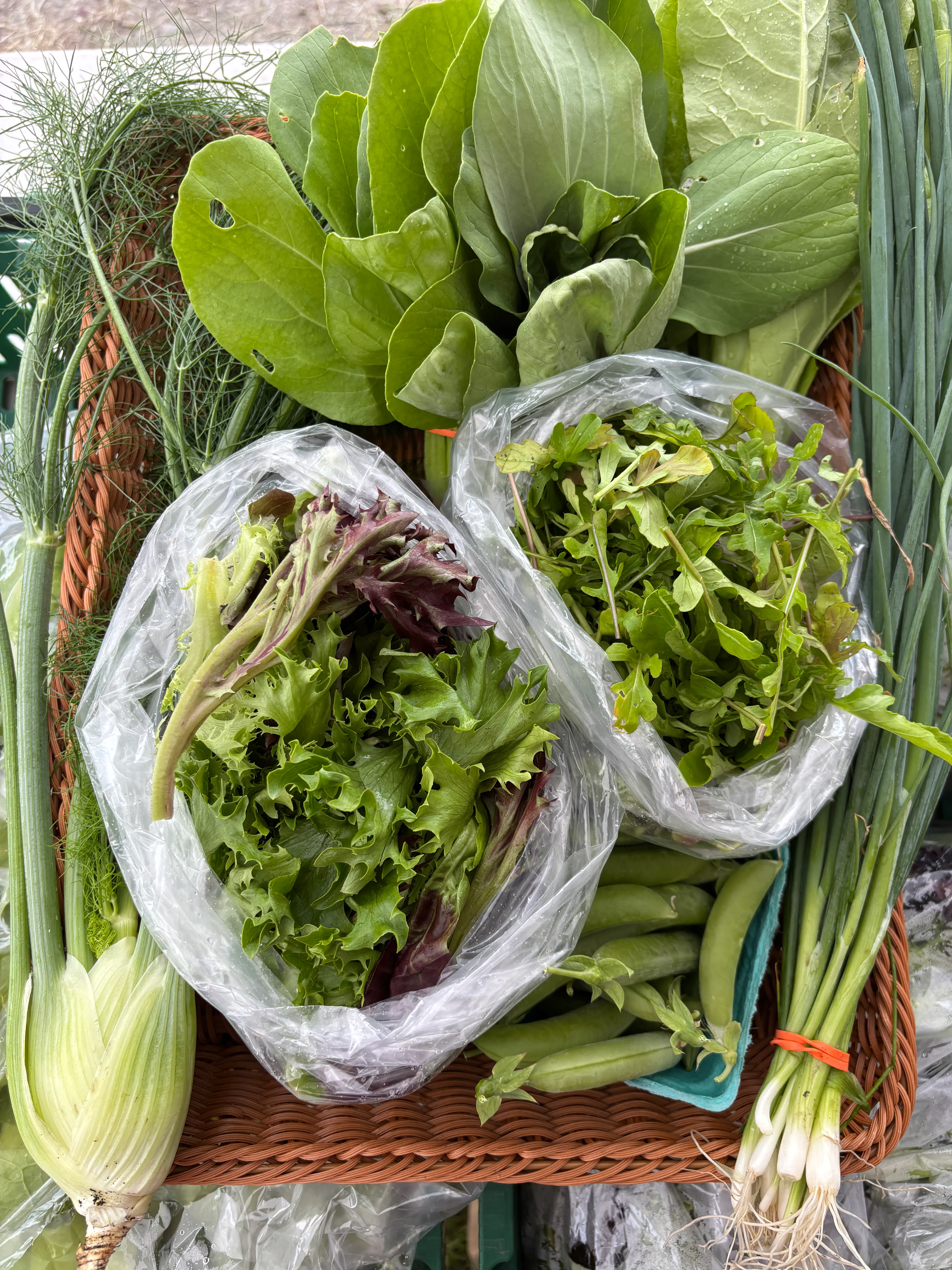 Week 2 CSA share