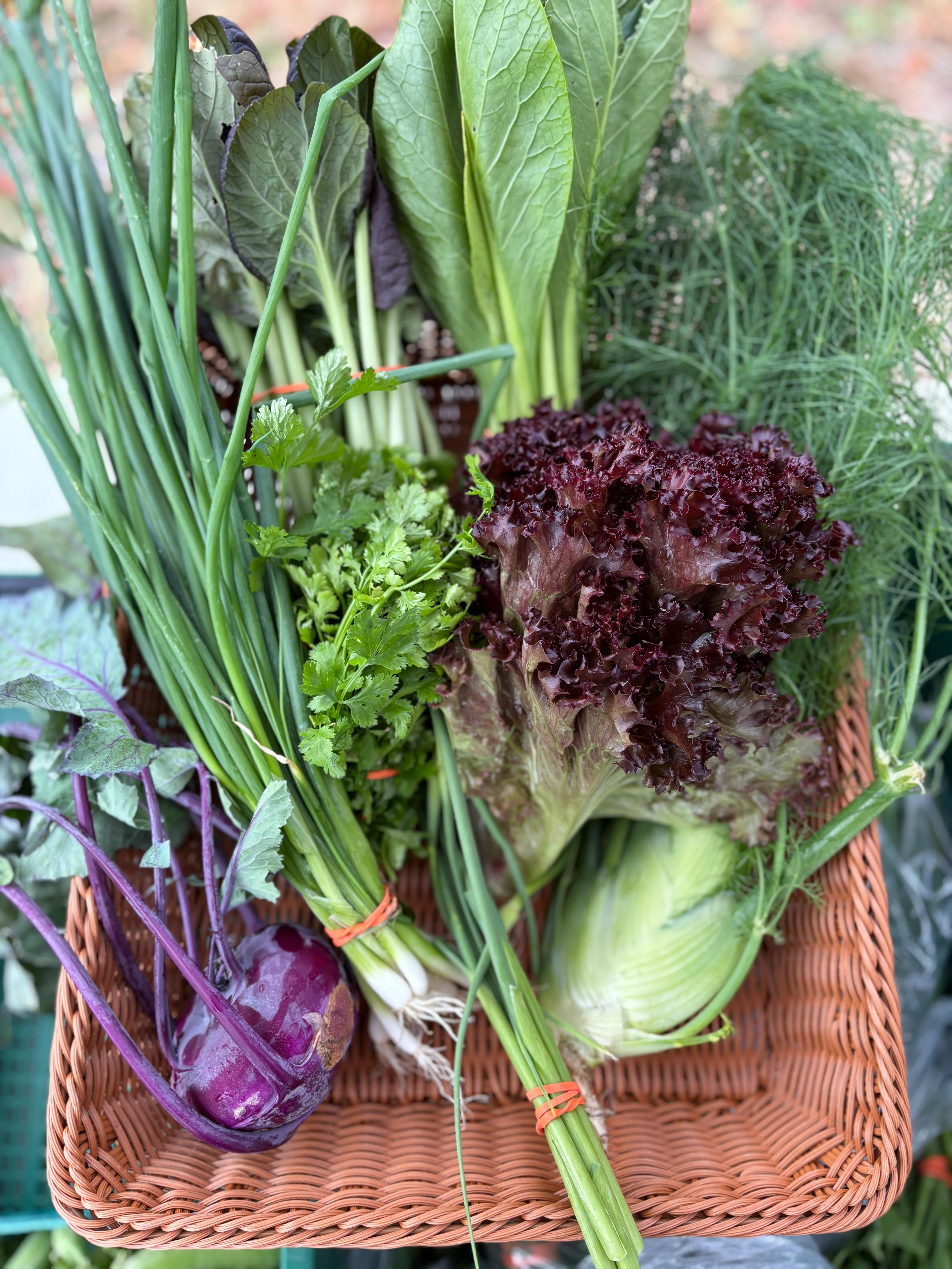 Week 4 CSA share