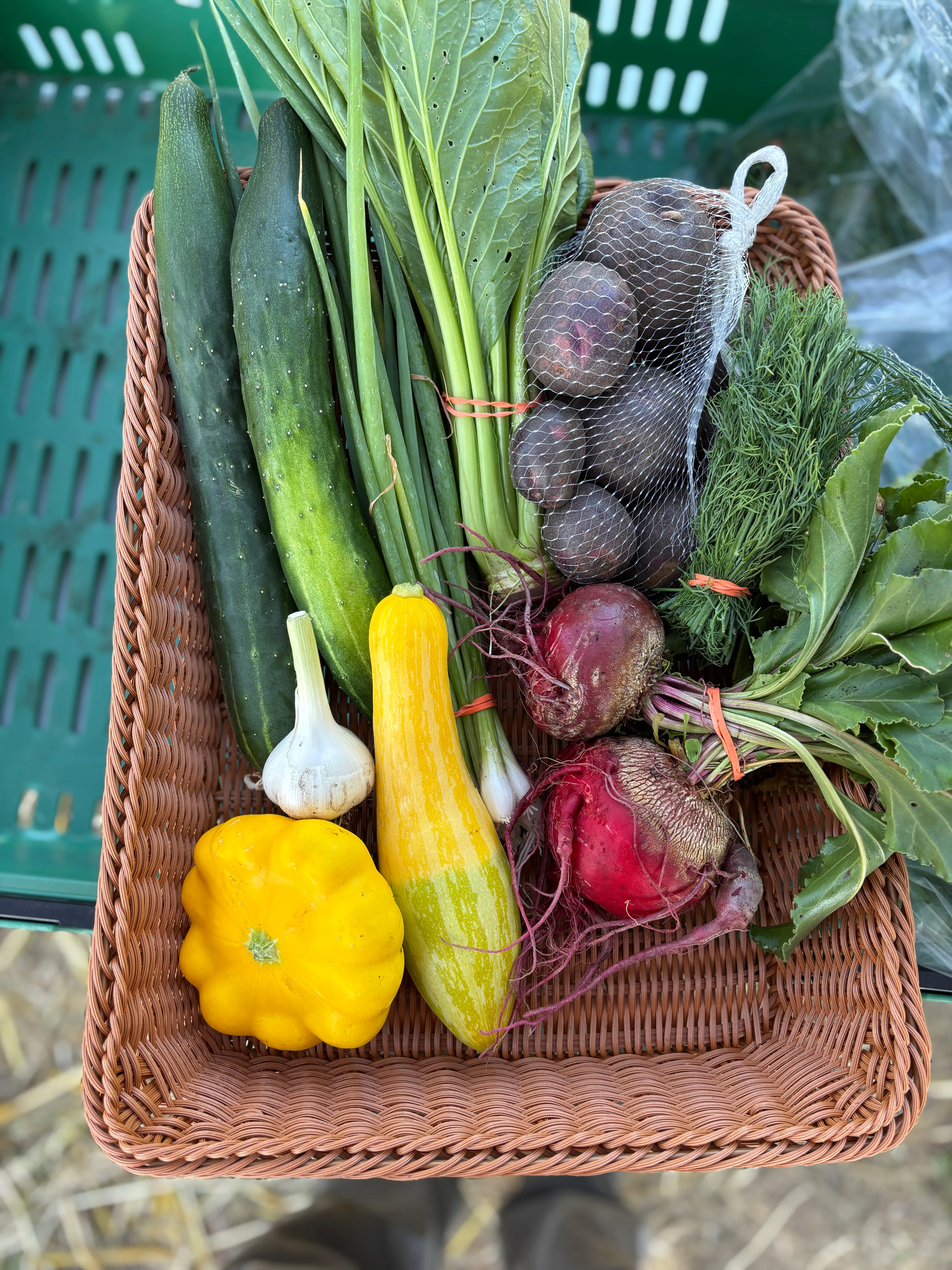 Week 7 CSA share