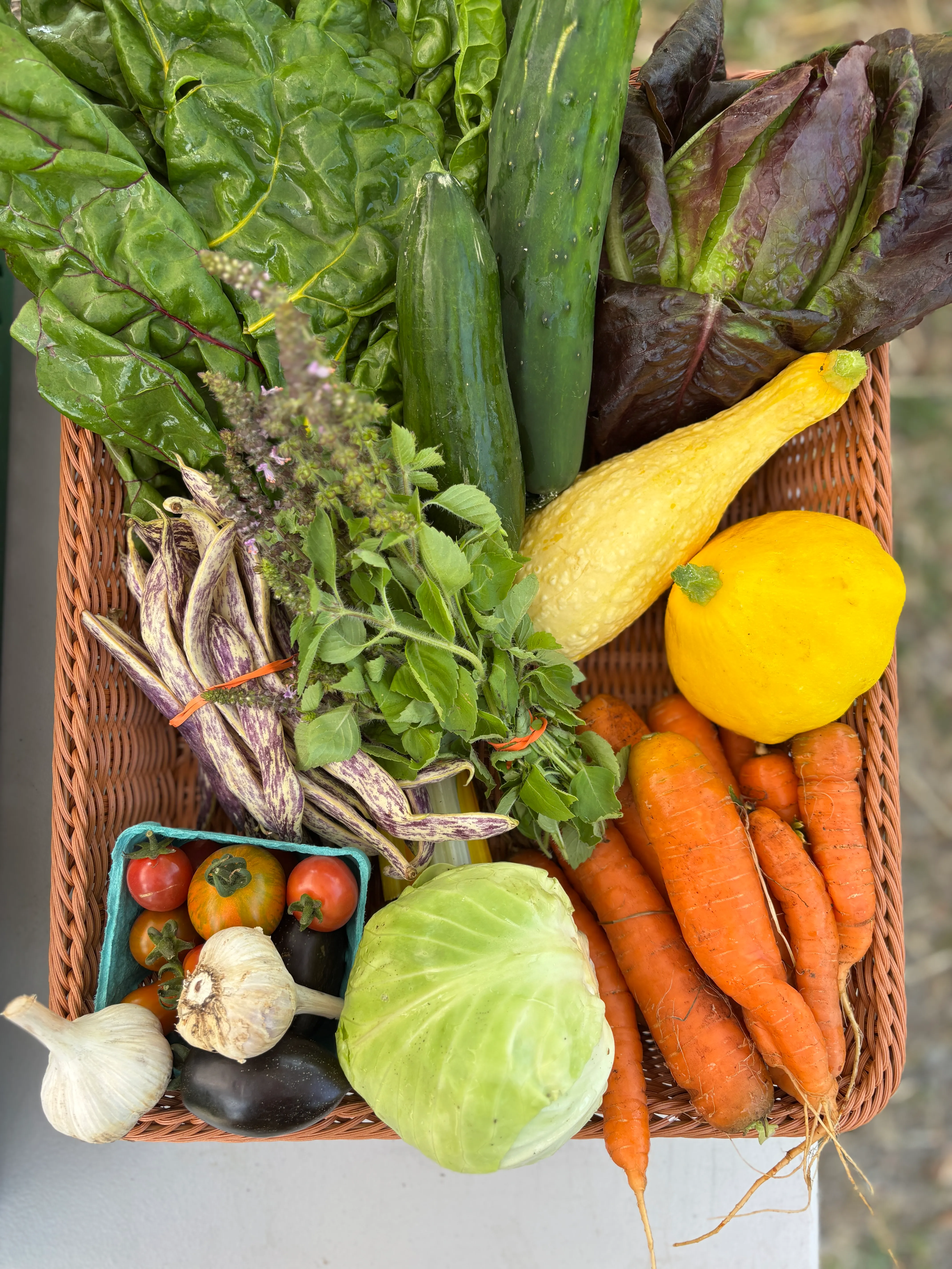 Week 11 CSA share