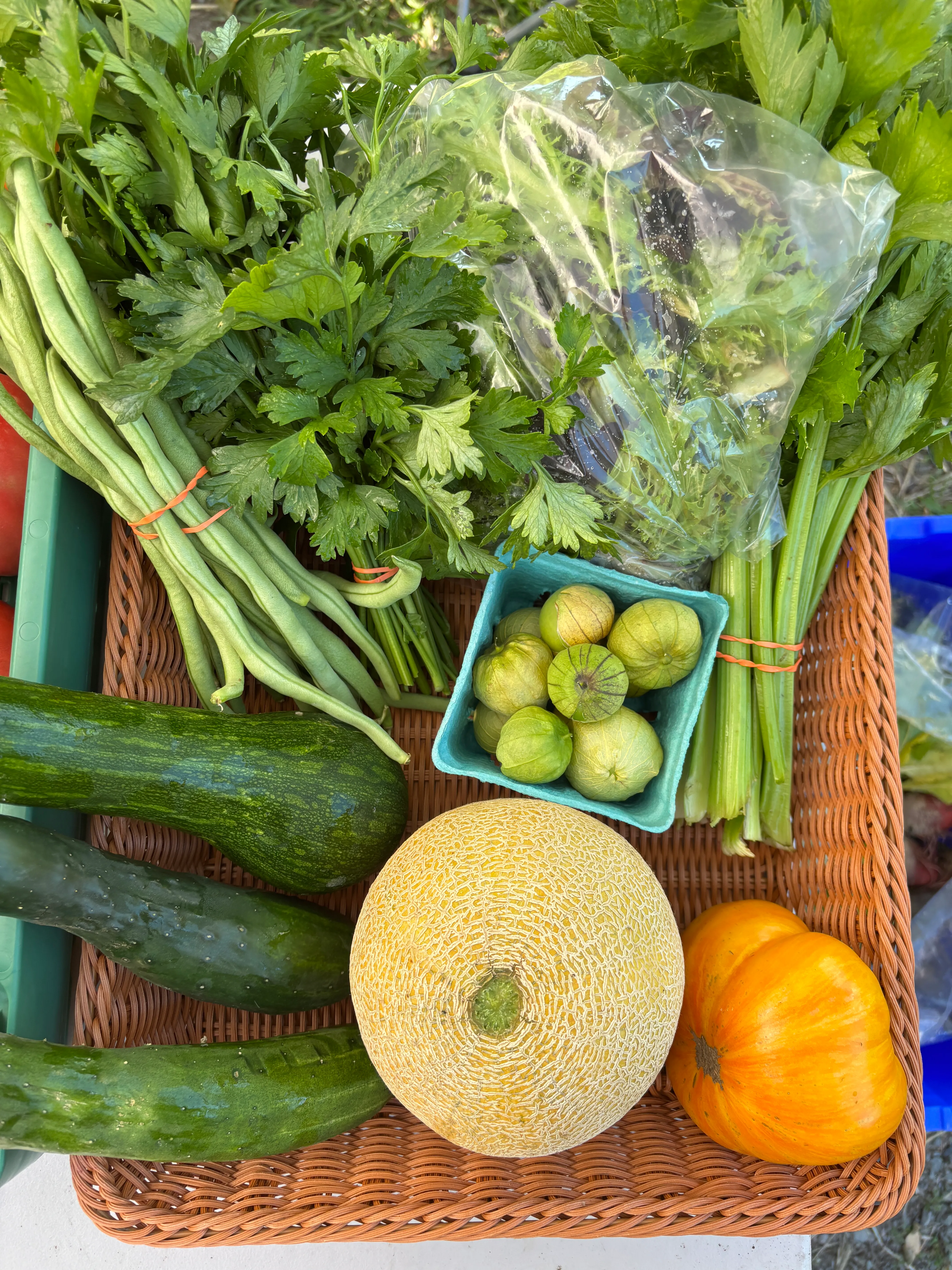 Week 12 CSA share