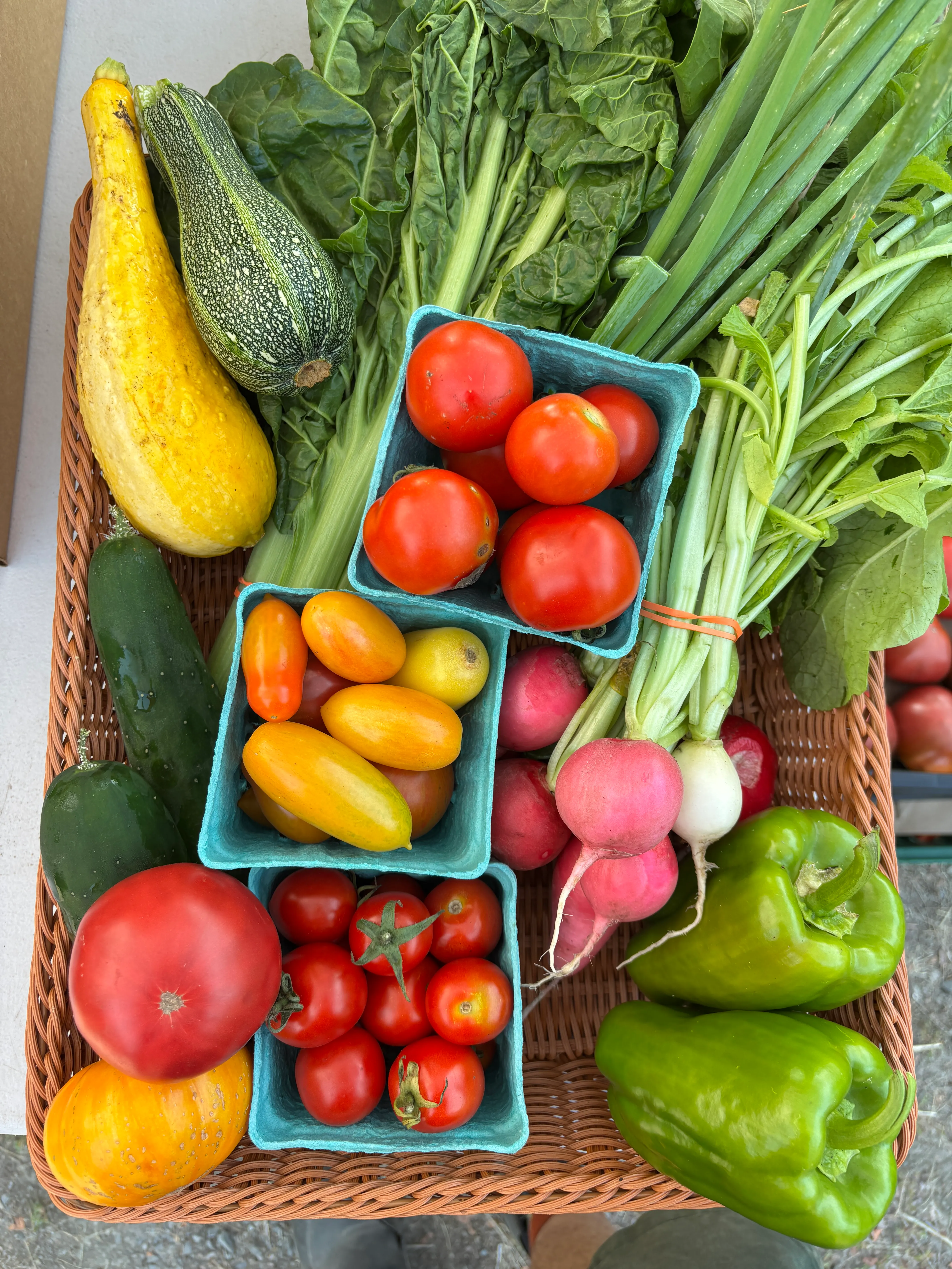 Week 15 CSA share