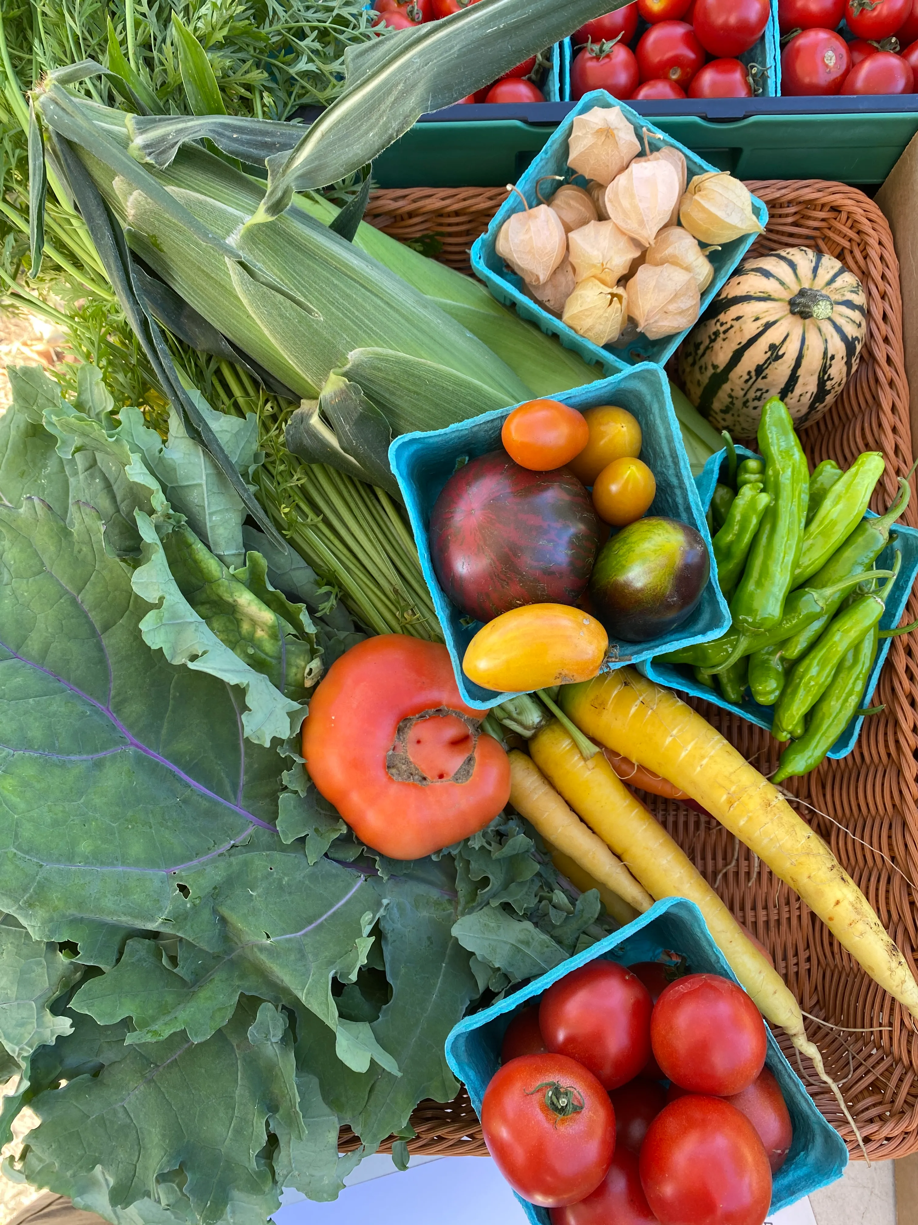 Week 16 CSA share