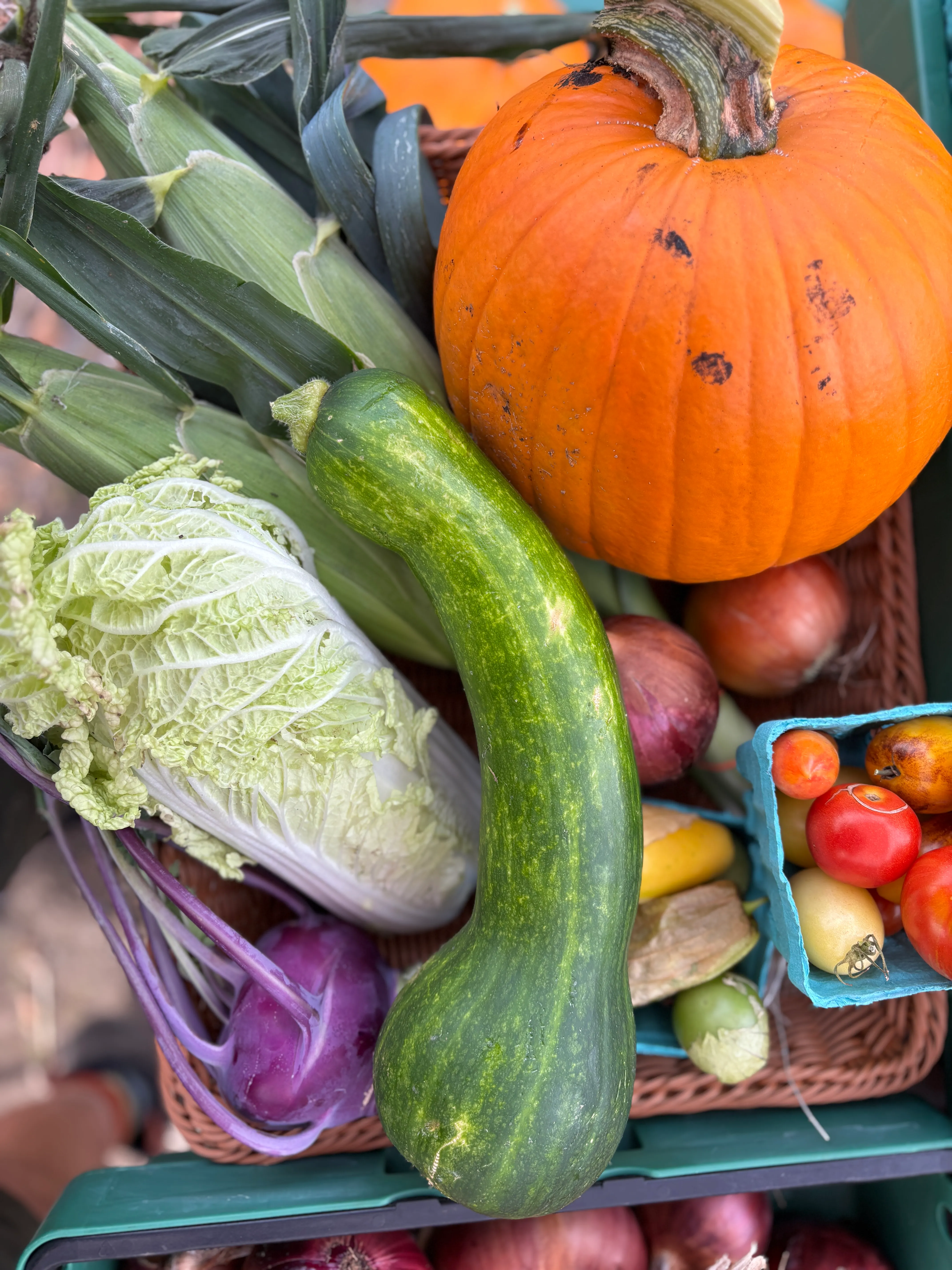 Week 17 CSA share
