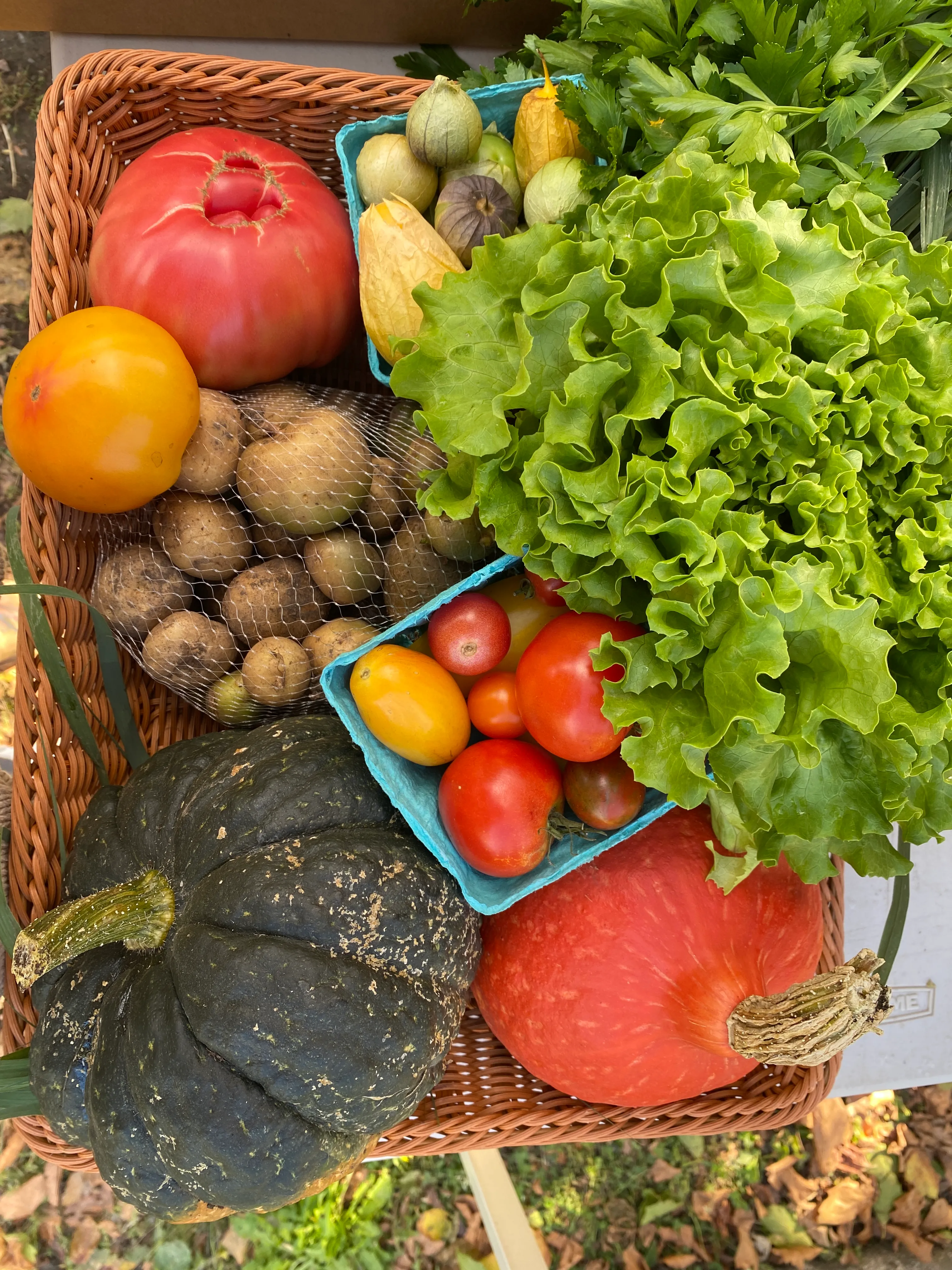 Week 18 CSA share