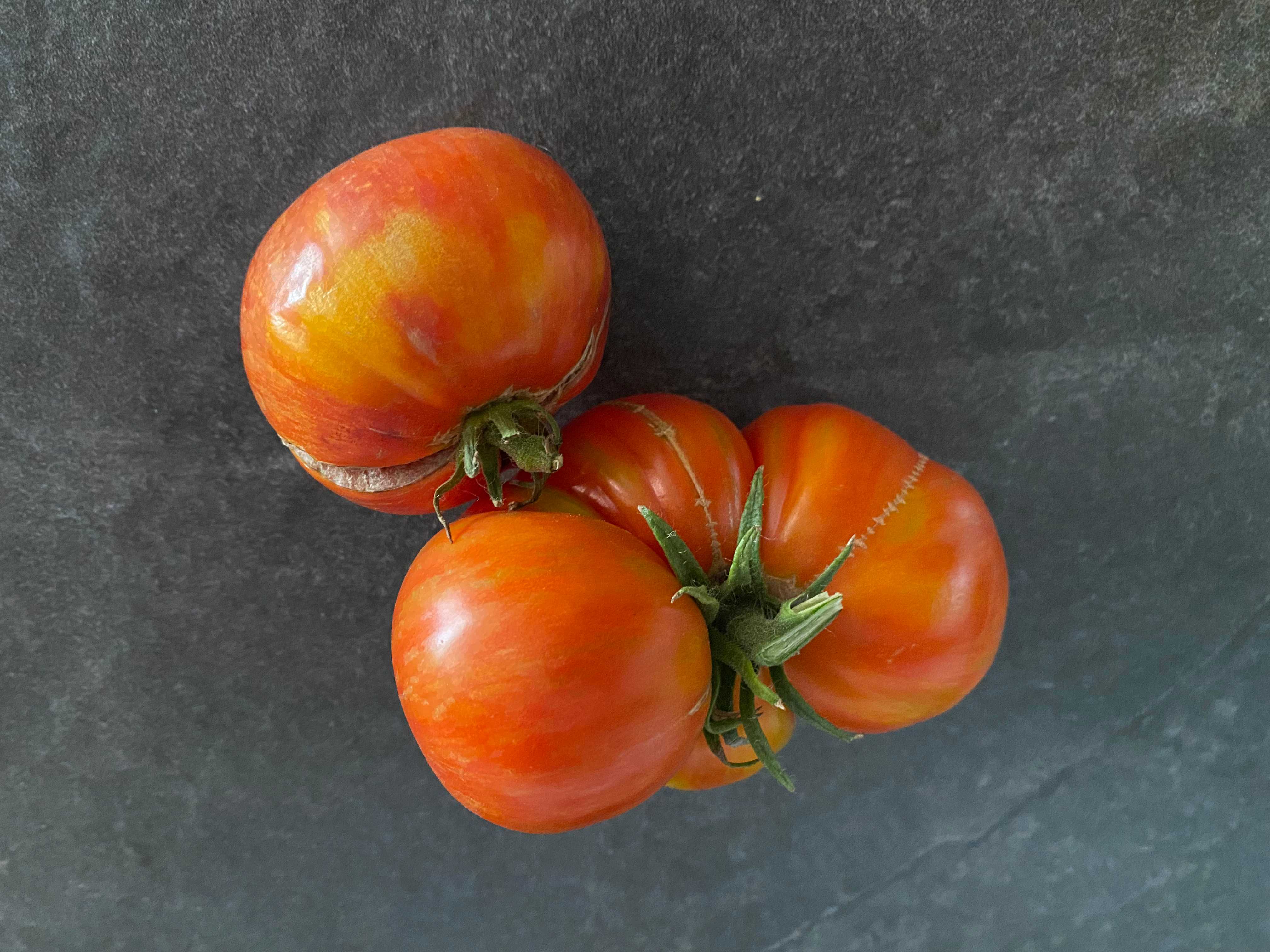 A picture of Tomato - Dark Galaxy