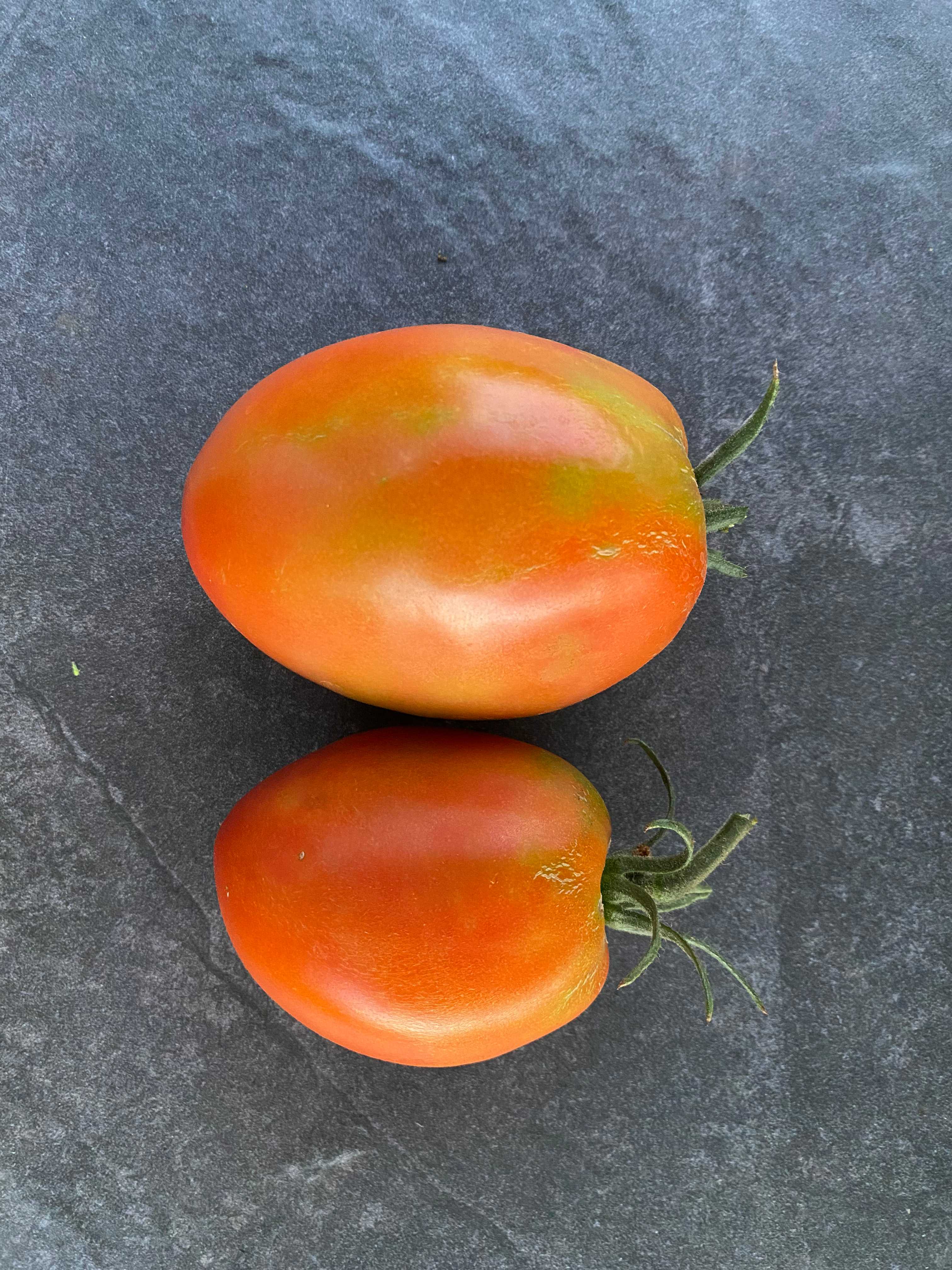 A picture of Tomato - Salvaterra's Select